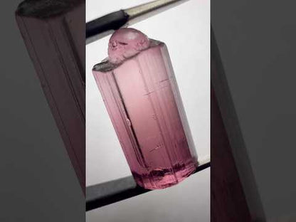 Pink rubellite 9.55 cts